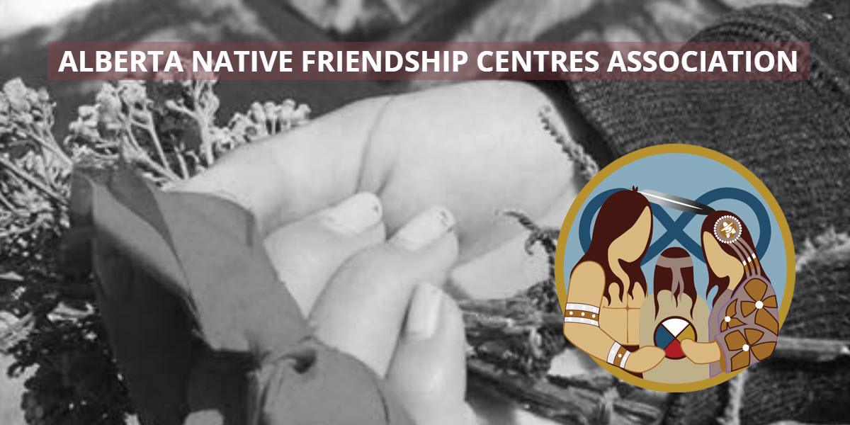 Alberta Native Friendship Centres Association -  industry in Edmonton AB