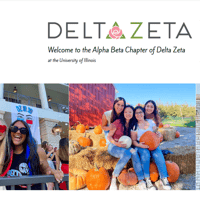 Alpha Beta Chapter of Delta Zeta - Women category in Champaign IL