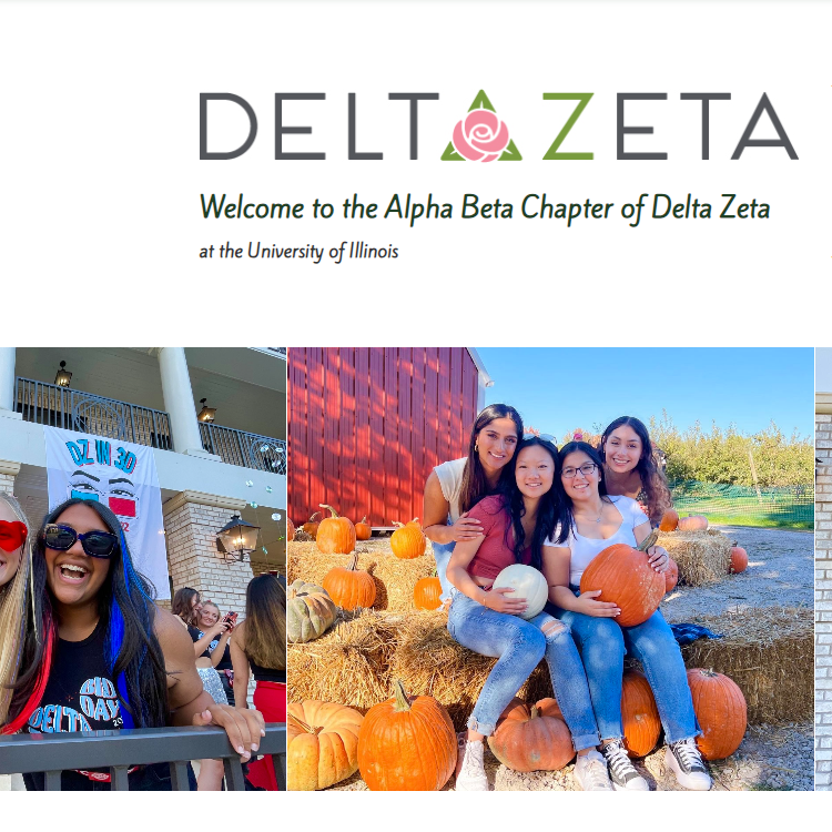 Alpha Beta Chapter of Delta Zeta -  industry in Champaign IL