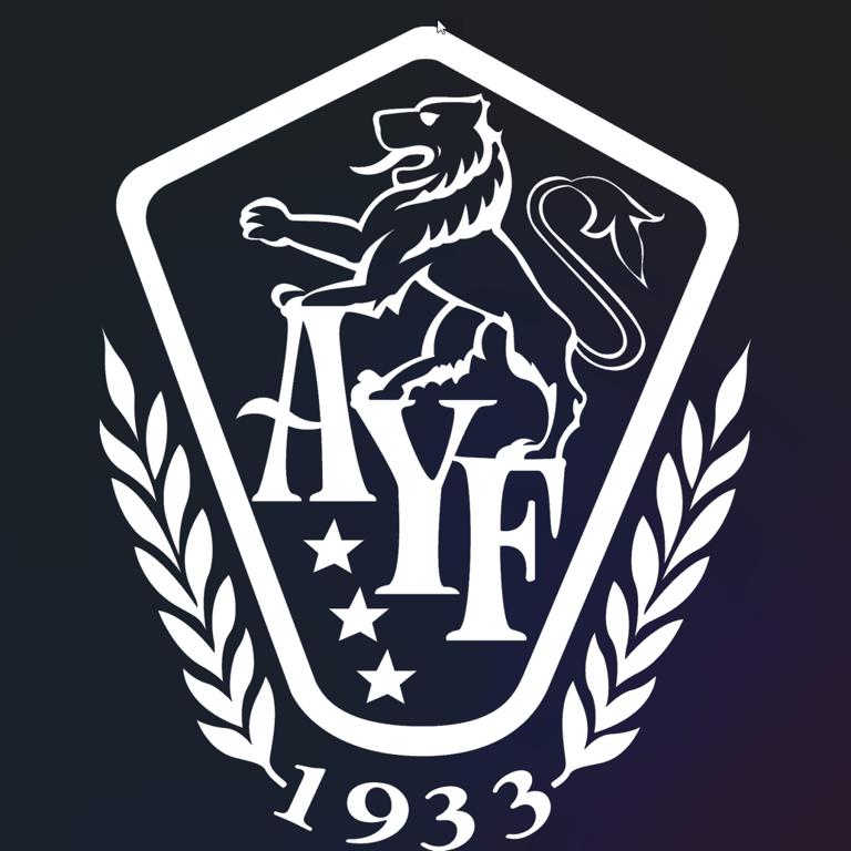 Armenian Youth Federation