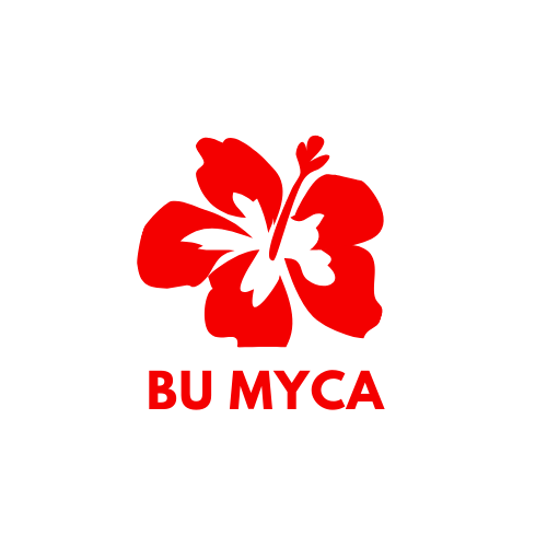 BU Malaysian Cultural Association -  industry in Boston MA