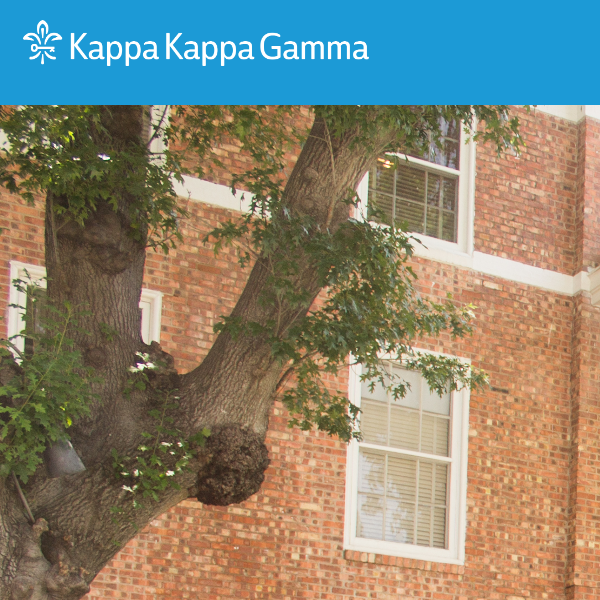 Beta Xi Chapter of Kappa Kappa Gamma - Women category in Austin TX