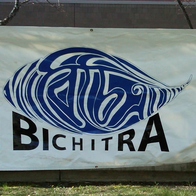 Bichitra