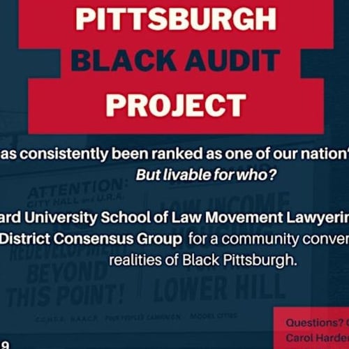 Black Audit Project