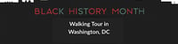 Black History Walking Tour With Author Lauri Williamson and NMAAHC entry -  industry in Washington DC