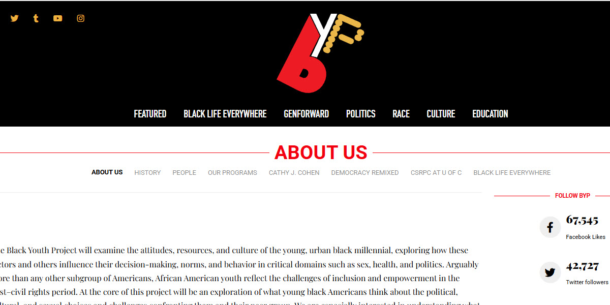 Black Youth Project -  industry in Chicago IL