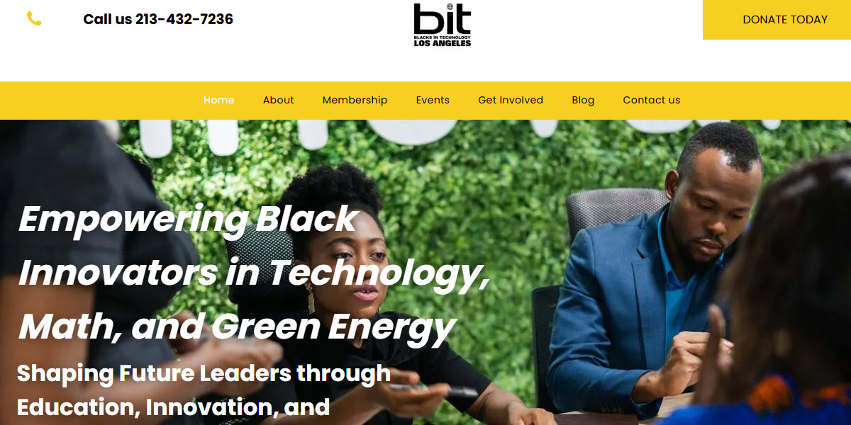 Blacks In Technology Los Angeles -  industry in Los Angeles CA