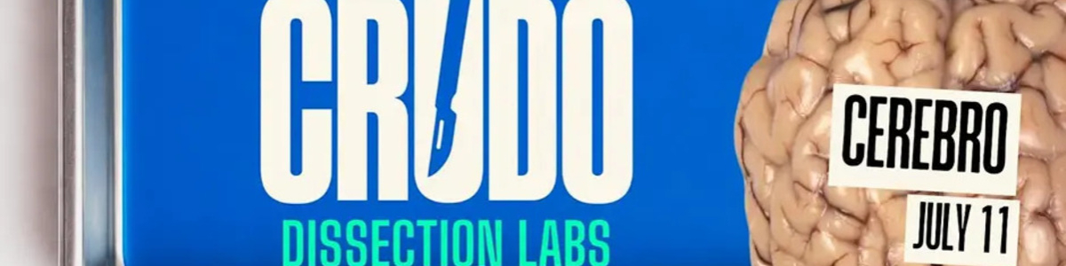 CRUDO: Dissection Labs for Latinos at the Health Museum - Brain -  industry in Houston TX