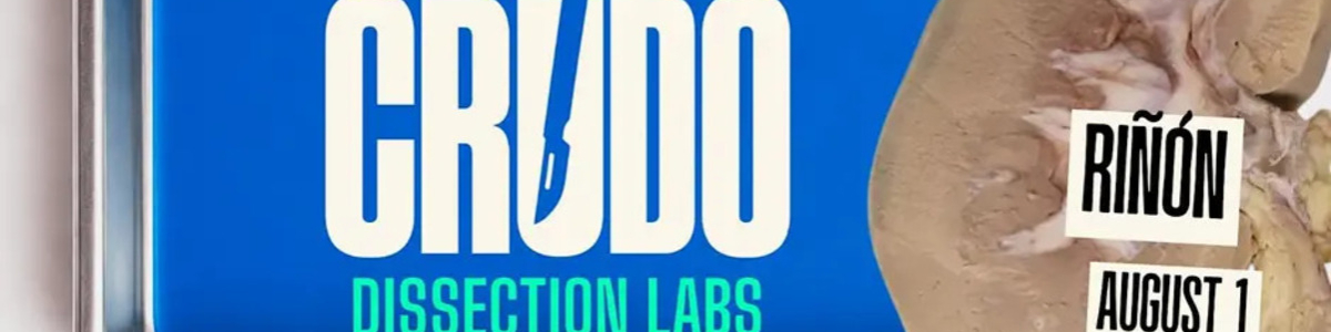 CRUDO: Dissection Labs for Latinos at the Health Museum - Kidney -  industry in Houston TX