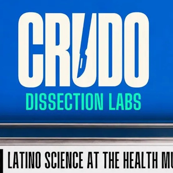 CRUDO: Dissection Labs for Latinos at the Health Museum - Testicle