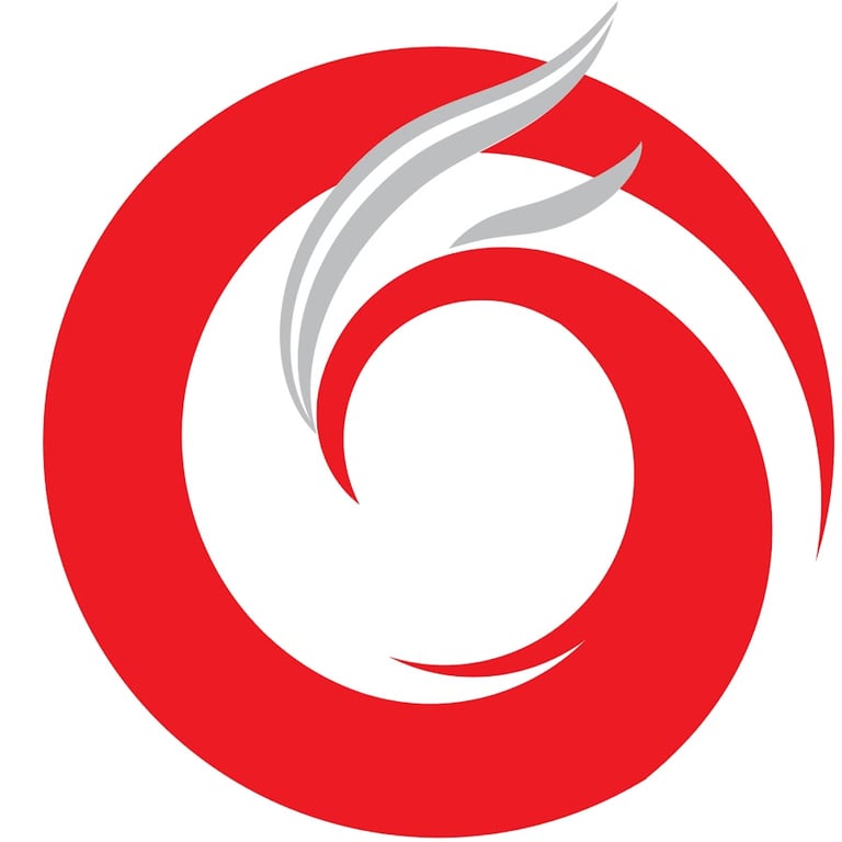 Chinese American Family Coalition