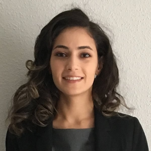 Dina Ibrahim - industry - in Dearborn, MI