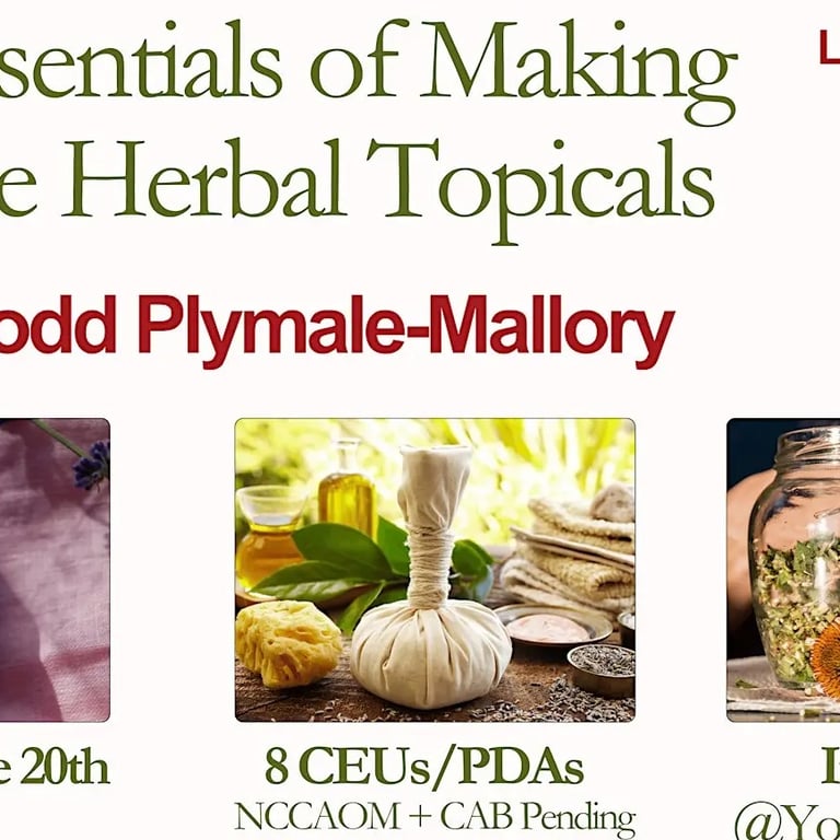 Essentials of Making Chinese Herbal Topicals