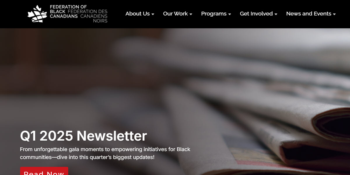 Federation of Black Canadians -  industry in Brampton ON