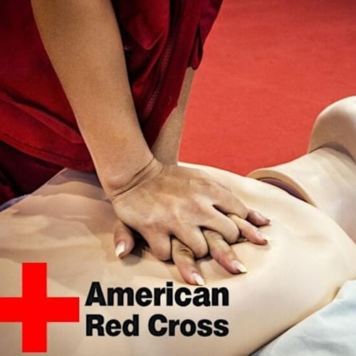 First Aid/CPR/AED - Adult and Pediatric - In Person - In Spanish