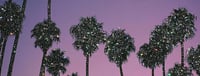 First Night: Infinite Light 2025 -  industry in Los Angeles CA