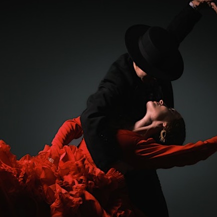 Flamenco Arts International