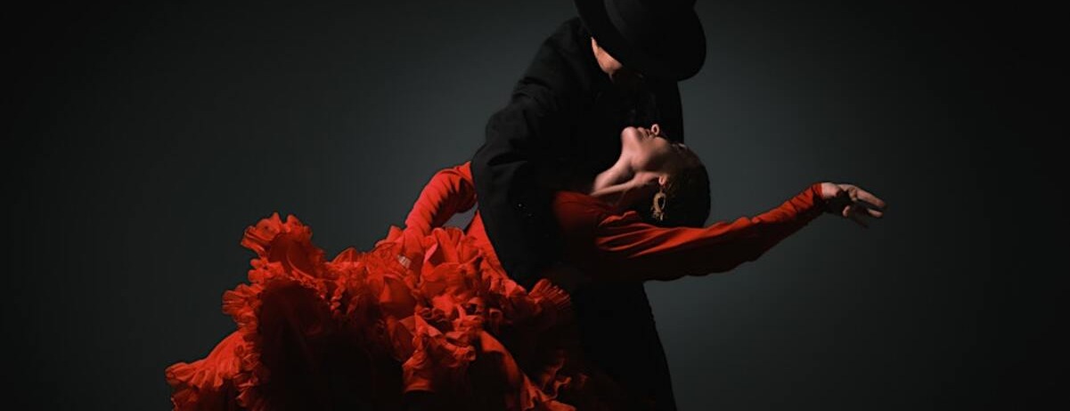 Flamenco Arts International -  industry in New York NY