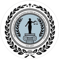 GWU Undergraduate Chapter of the Black Law Student Association - Black category in Washington DC