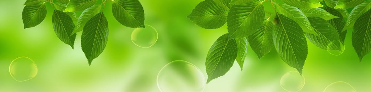 Green Leaf Psychological Services -  industry in Halifax NS