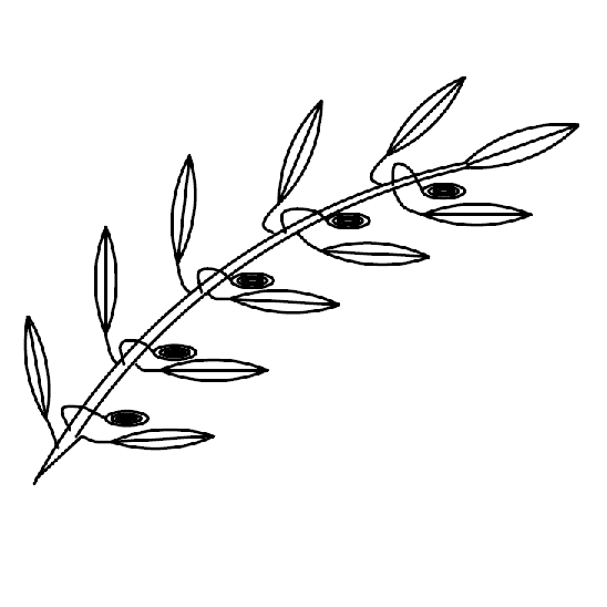 Hellenic Canadian Academic Association of Ontario