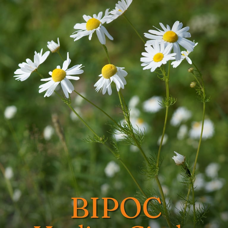 In Bloom: A BIPOC Healing Circle with Amanda Benjamin