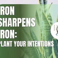 Iron Sharpens Iron: Plant Your Intentions
