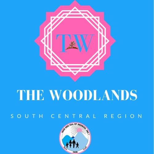 Jack and Jill of America, Inc. The Woodlands Chapter - Black category in The Woodlands TX