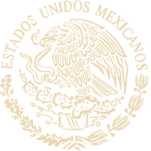Mexican Career Consulate in Presidio, Texas