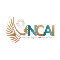 National Congress of American Indians - Native American category in Washington DC