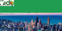 Nigerians in Diaspora Organization Americas Chicago -  industry in Chicago IL