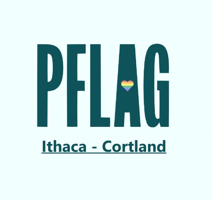 PFLAG Ithaca Cortland - LGBTQ category in  