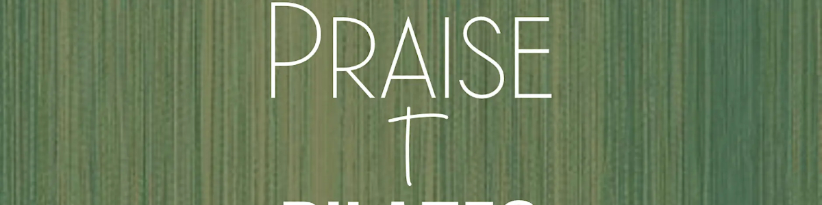 Praise + Pilates Experience -  industry in Houston TX