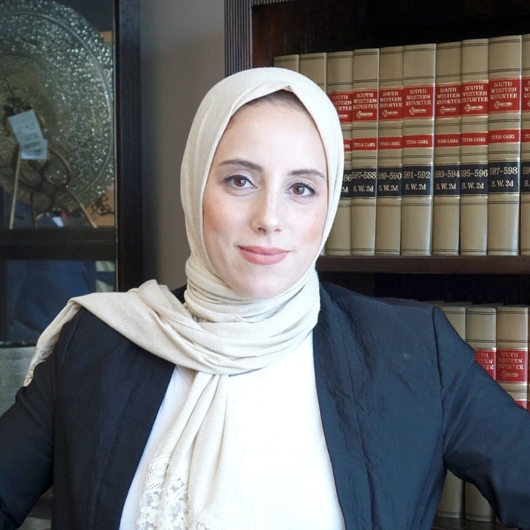 Razan Hamideh - industry - in Richardson, TX