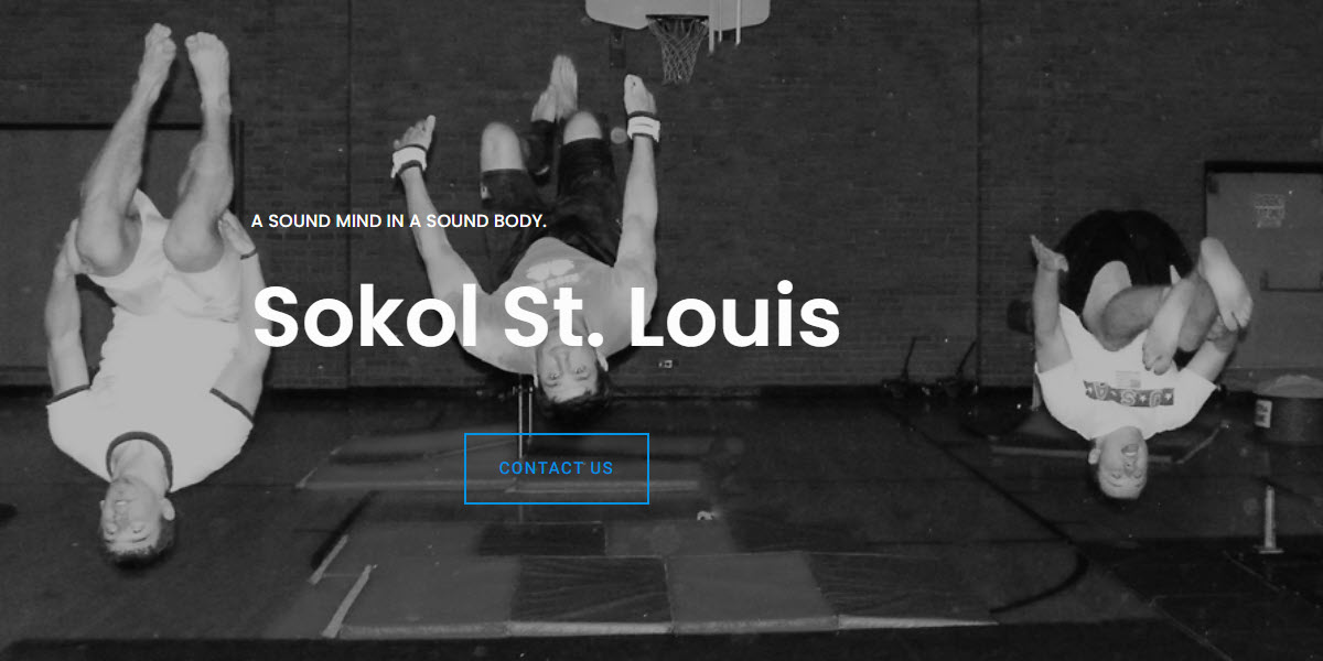 Sokol St. Louis -  industry in St. Louis MO