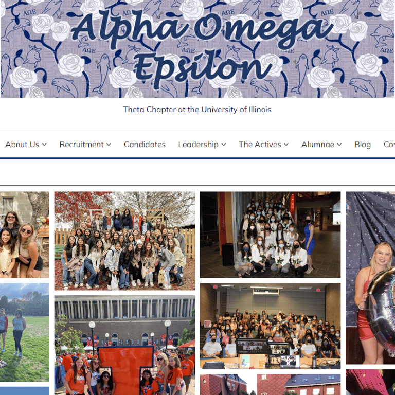 Theta Chapter of Alpha Omega Epsilon - Women category in Urbana IL