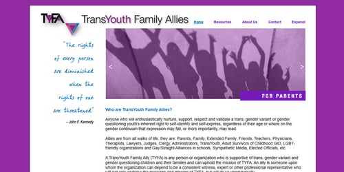 TransYouth Family Allies -  industry in Holland MI