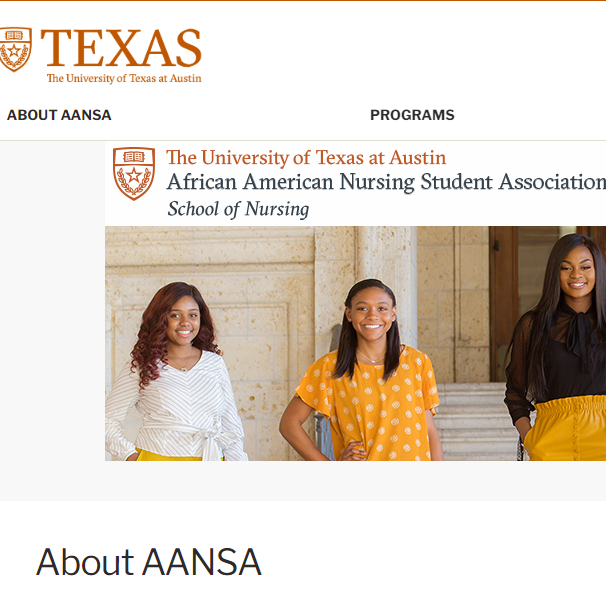 UT Austin African American Nursing Student Association - Black category in Austin TX