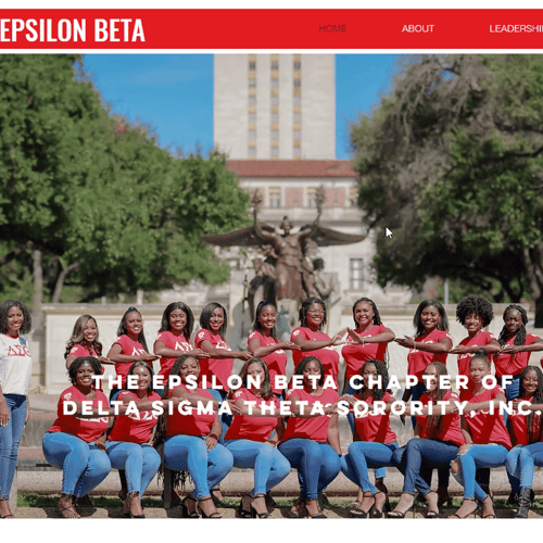 UT Austin Delta Sigma Theta Sorority, Incorporated - Women category in Austin TX
