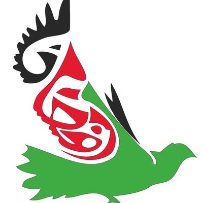 United Afghan Club at UCLA - Afghan category in Los Angeles CA