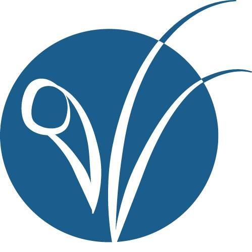 Vietnamese American Initiative for Development