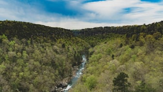 Forested sandstone canyon in northeast Alabama, with a rocky river running through the wooded gorge below a line of exposed bluffs, under a bright blue sky with scattered white clouds.